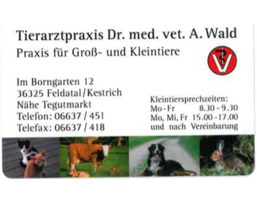 Kundenlogo von Wald Andreas Dr. med. vet. Tierarzt