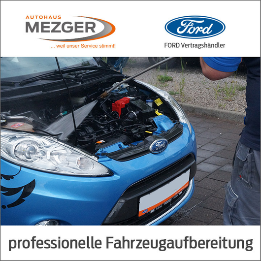 Kundenfoto 6 Autohaus Mezger GmbH