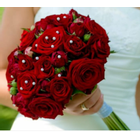 Kundenbild groß 2 Schneider Blumen Hochzeitsfloristik