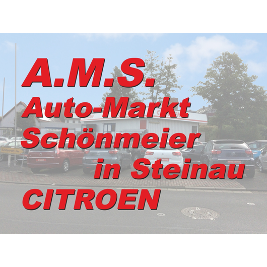 Kundenfoto 1 A.M.S. Auto-Markt Schönmeier GmbH Autohaus