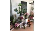 Kundenbild klein 9 Blumenladen Immerblüte Inh. Christina Fester