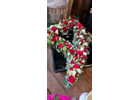 Kundenbild groß 4 Blüte mit Stil Inh. Monika Schwarz Blumen