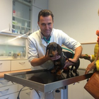 Kundenbild klein 7 Poscich Oliver Tierarztpraxis