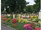 Kundenbild groß 3 Friedhofsgärtnerei Euler