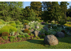Kundenbild groß 10 Dietewich Garten- und Landschaftsbau