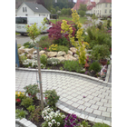 Kundenbild groß 4 Schiele Garten- und Landschaftsbau, Winterdienst