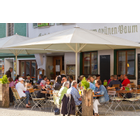 Kundenbild klein 10 Hotel Grüner Baum Restaurant