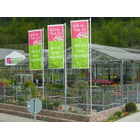 Kundenbild groß 9 Blumenpanorama Hosch GmbH & Co. KG