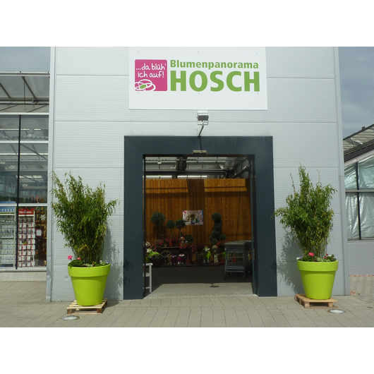 Kundenfoto 1 Blumenpanorama Hosch GmbH & Co. KG