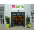 Kundenbild groß 1 Blumenpanorama Hosch GmbH & Co. KG