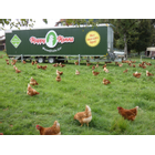 Kundenbild groß 2 Happy Henns Bauernhof