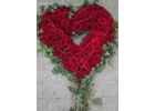 Kundenbild groß 9 Blumenland Wiedmaier Blumenfachgeschäft und Gärtnerei