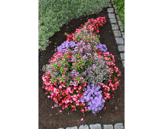 Kundenfoto 7 Blumenland Wiedmaier Blumenfachgeschäft und Gärtnerei