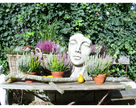 Kundenfoto 6 La Tienda Dekoratives für Haus und Garten