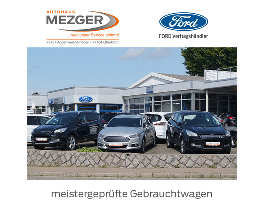 Kundenfoto 4 Autohaus Mezger GmbH