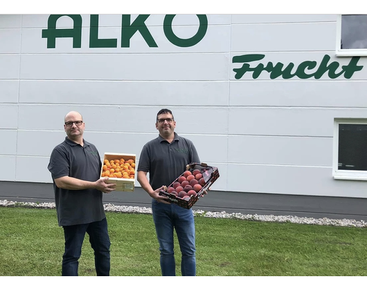 Kundenfoto 3 Alko-Frucht Fruchtimport Alfred Kotz GmbH & Co. KG