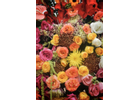 Kundenbild klein 8 Blumenhaus und Gartenbetrieb Außem GbR Blumen & Gärtnerei
