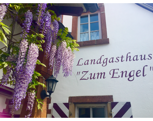 Kundenfoto 1 Landgasthaus Zum Engel Inh. Bettina Debus
