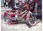 Kundenbild klein 5 Molitors Bike Shop Fahrradfachgeschäft und Fahrradwerkstatt