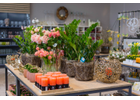 Kundenbild klein 5 Blumen Kind Gartencenter