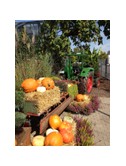 Eigentümer Bilder LAMBERT Gartencenter Trier