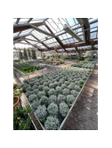 Eigentümer Bilder LAMBERT Gartencenter Trier