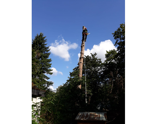 Kundenfoto 5 Leu Baumtechnik Betrieb für Baumarbeiten