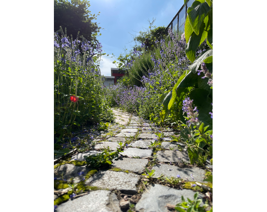 Kundenfoto 4 Gardeco Joachim Dietrich Gartengestaltung