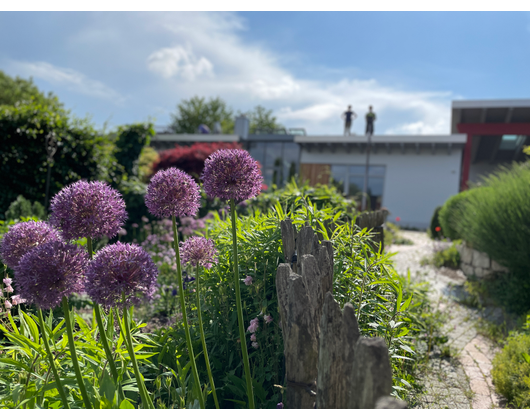 Kundenfoto 3 Gardeco Joachim Dietrich Gartengestaltung