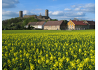 Kundenbild groß 2 Burghotel Münzenberg Gasthaus zur Burg Tagungshotel