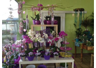 Kundenbild groß 5 Blumenhaus Bäckel GbR Inh. Carmen Bäckel und Sabine Bäckel-Pils Blumengeschäft