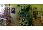 Kundenbild groß 2 Blumenhaus Bäckel GbR Inh. Carmen Bäckel und Sabine Bäckel-Pils Blumengeschäft