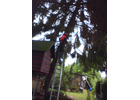 Kundenbild groß 6 Lehr Stefan Rund um Haus und Garten Baumfällarbeiten u. Gartenpflege Hungen Wetterau