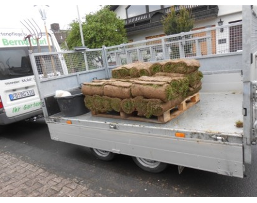 Kundenfoto 2 Dürl Bernd Gartenpflege & Gartengestaltung