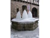 Eigentümer Bilder NaturHistorisches Museum Schloss Bertholdsburg Schleusingen