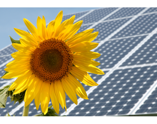Kundenfoto 7 Herbert Betz GmbH & Co. KG Elektro, Heizung, Solar