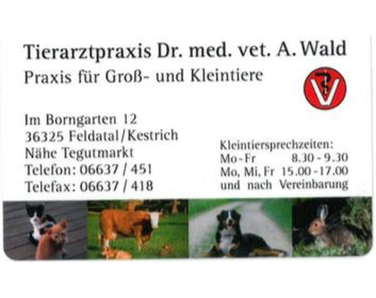 Kundenfoto 1 Wald Andreas Dr. med. vet. Praktischer Tierarzt