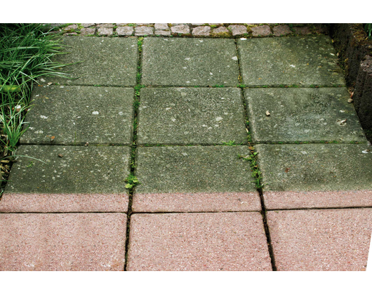 Kundenfoto 10 Kahraman Cengiz Glasreinigung und Gebäudereinigung