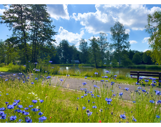 Kundenfoto 9 VulkanTherme Herbstein