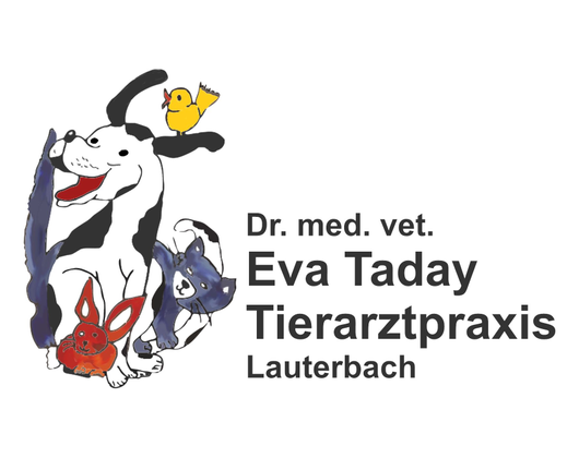 Kundenfoto 1 Taday Eva Dr. Tierarztpraxis