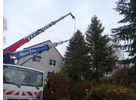 Kundenbild groß 10 Baum Doc GmbH Baumpflege