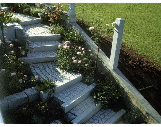 Kundenfoto 1 Kolbe Garten- und Landschaftsbau Baumpflege