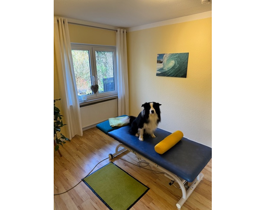 Kundenfoto 7 Physiotherapie Stähler Praxis für Physiotherapie & funktionelles Training