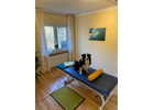 Kundenbild groß 7 Physiotherapie Stähler Praxis für Physiotherapie & funktionelles Training