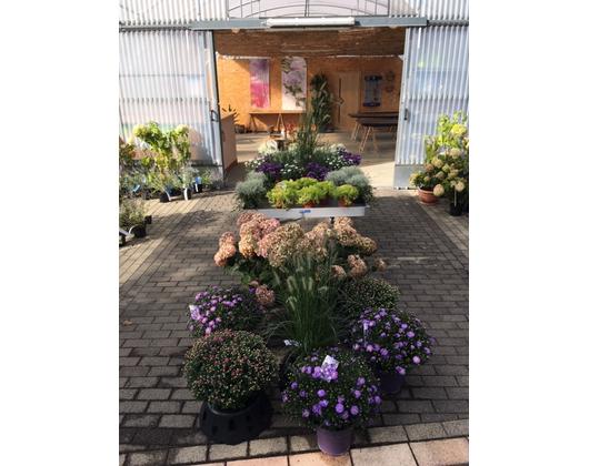 Kundenfoto 9 Pflanzenhof Werner Jörn Gartengestaltung
