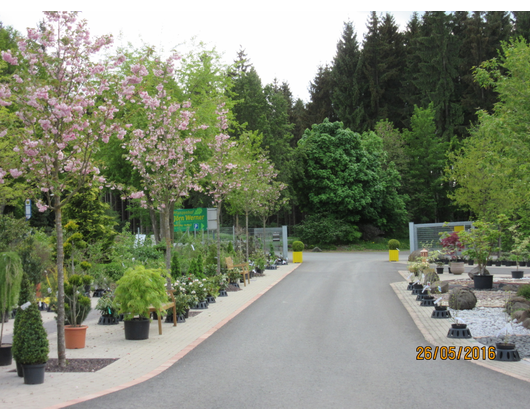 Kundenfoto 4 Pflanzenhof Werner Jörn Gartengestaltung