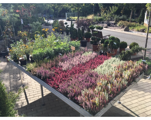 Kundenfoto 7 Pflanzenhof Werner Jörn Gartengestaltung