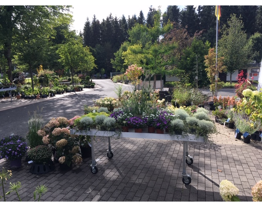 Kundenfoto 10 Pflanzenhof Werner Jörn Gartengestaltung