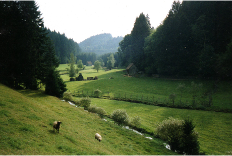 Kundenfoto 3 Gemeindeverwaltung Wörnersberg