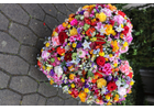 Kundenbild groß 4 Blumen Heck Blumenfachbetrieb